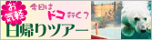 �y�e�n���z����y�I���A��c�A�[