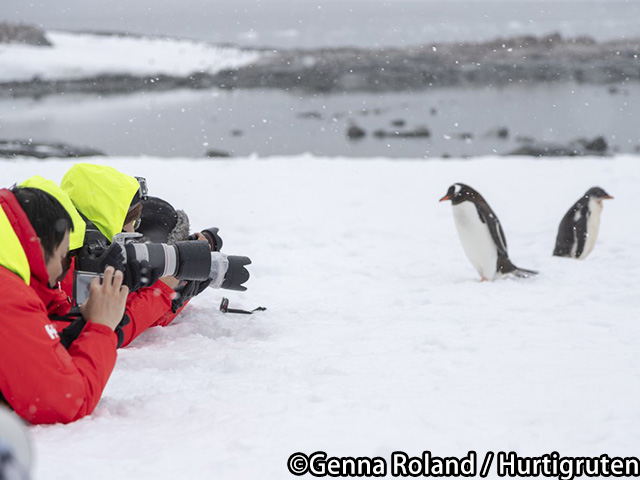 南極で生きる野生動物たちと間近に遭遇！