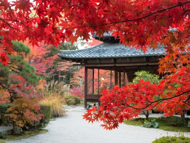 秋の京都旅行