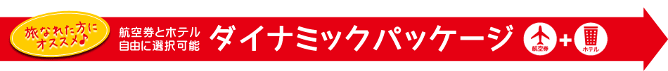 ダイナミックパッケージ