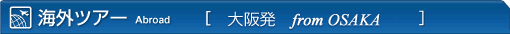 �C�O�c�A�[��㔭