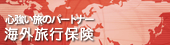 �C�O���s�ی�