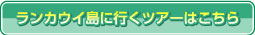 ランカウイ島に行くツアーはこちら