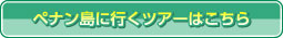 ペナン島に行くツアーはこちら