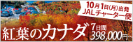 10/1��JAL�`���[�^�[���p �g�t�̃J�i�_