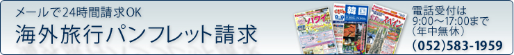 �C�O���s�p���t���b�g����