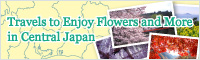 Travels to Enjoy Flowers and More in Central Japan