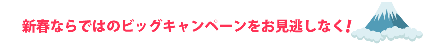 新春ならではのビッグキャンペーンをお見逃しなく！