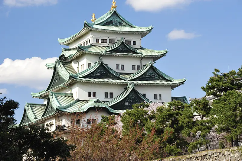 中部