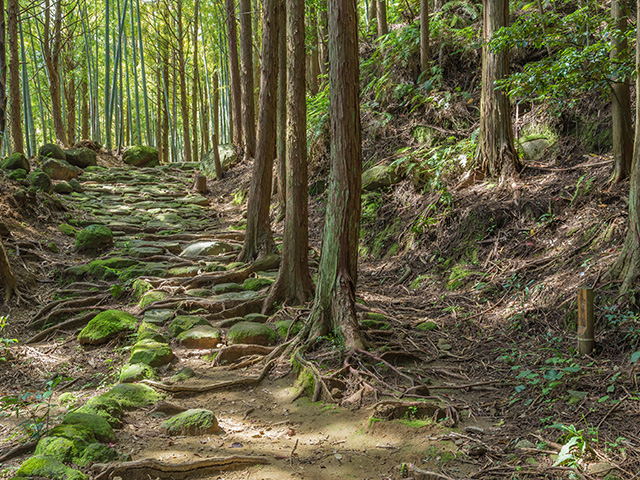 熊野古道・伊勢路