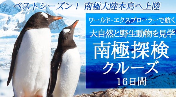 ワールド・エクスプローラーで航くベストシーズン！ 南極大陸本島へ上陸 大自然と野生動物を見学 南極探検クルーズ 16日間