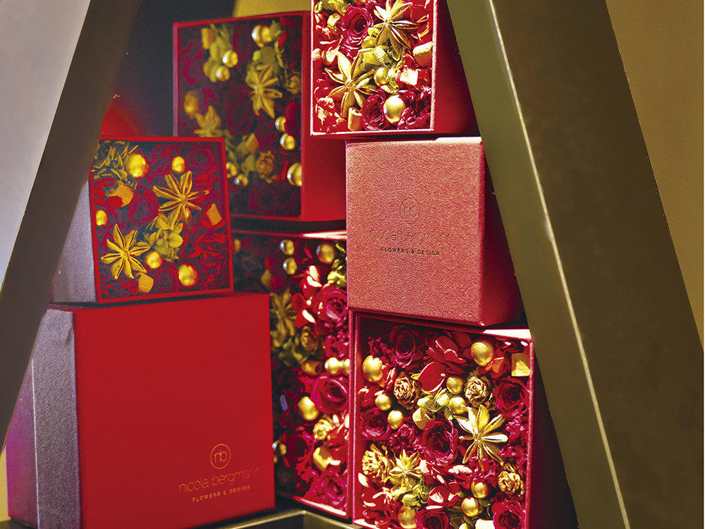 飛鳥Ⅲクリスマスイメージ