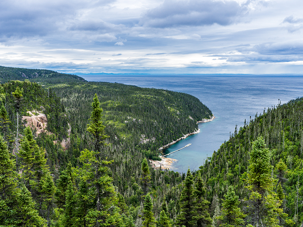 ベーコモー(カナダ)