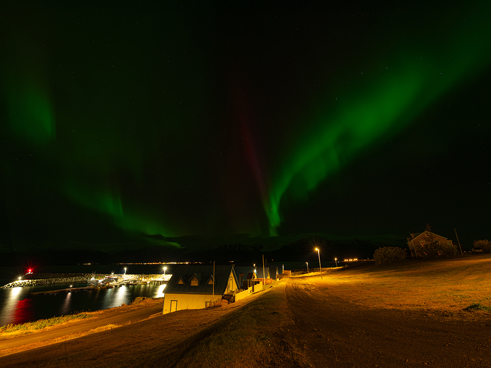 フリーセイ島(アイスランド)