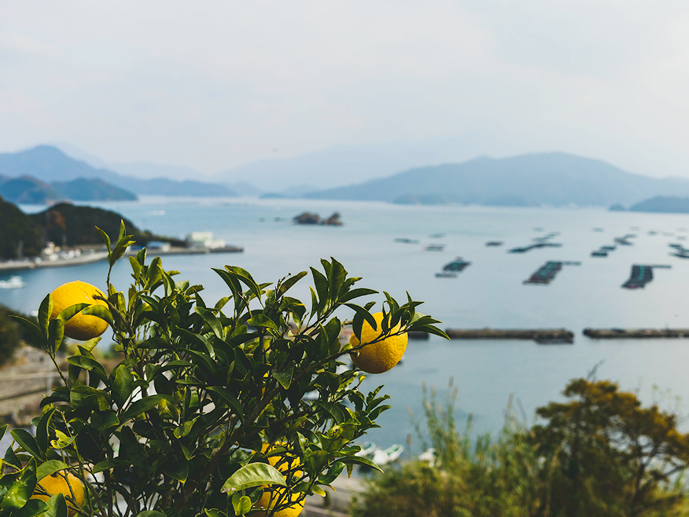 宇和島