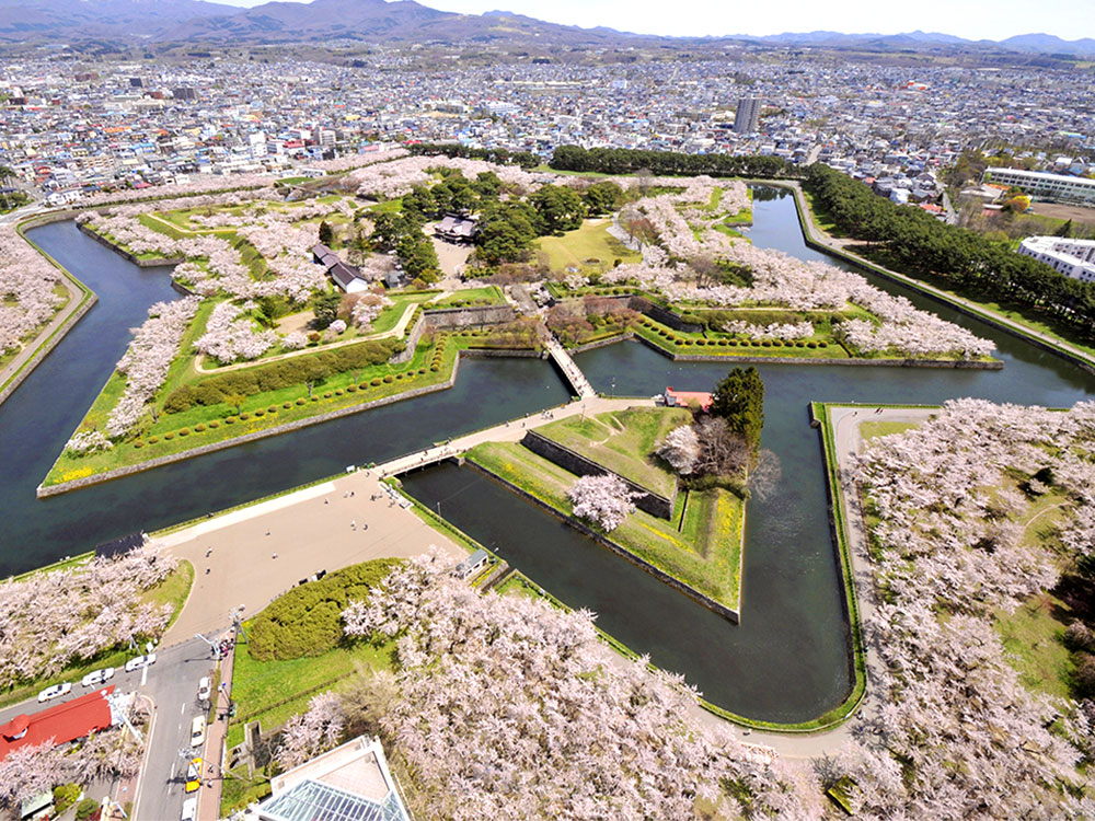 函館五稜郭の緑