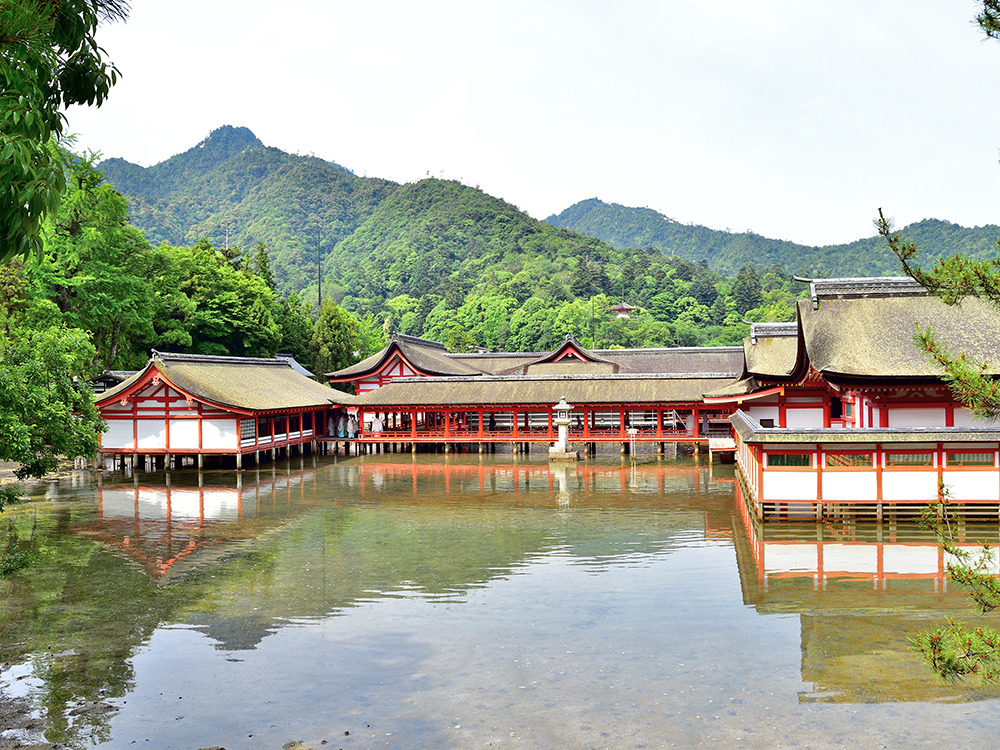 錦帯橋を桜が彩る