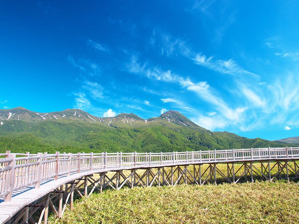 羅臼/北海道