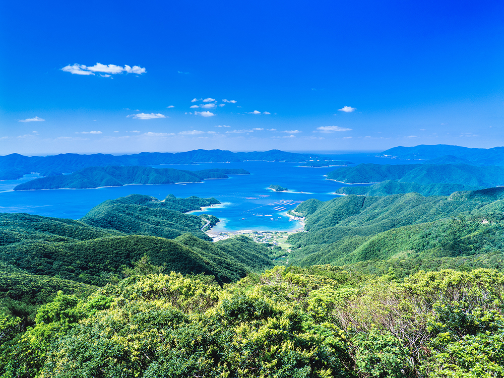 奄美大島
