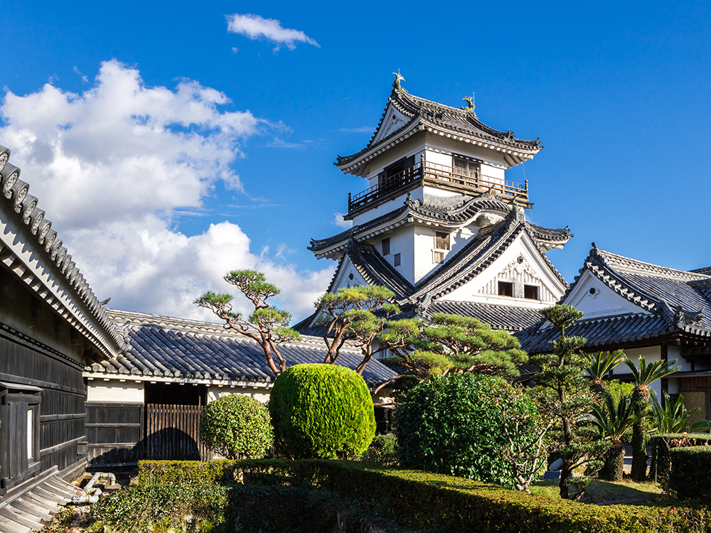 高知