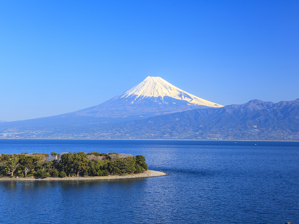 駿河湾