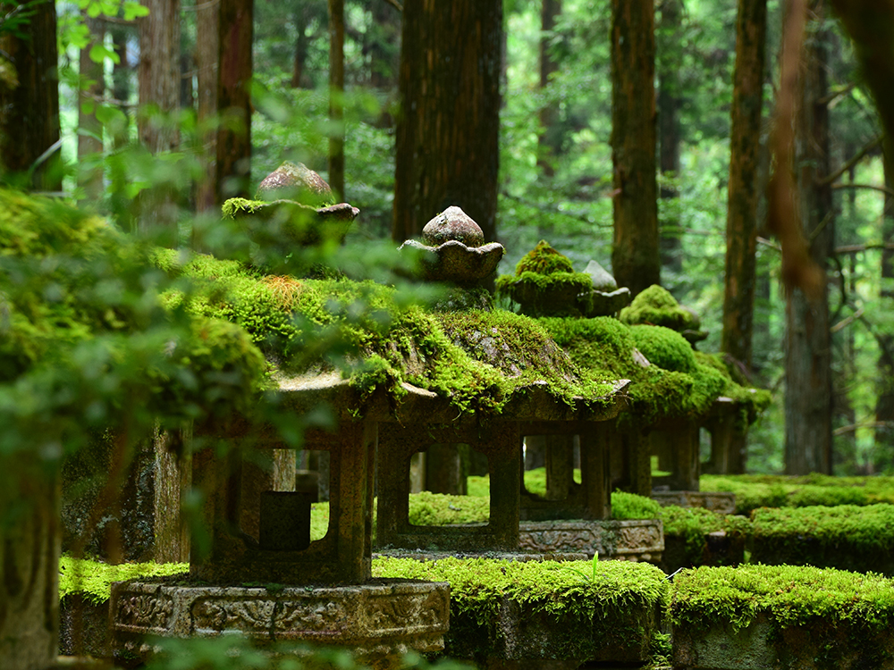 高野山/日高