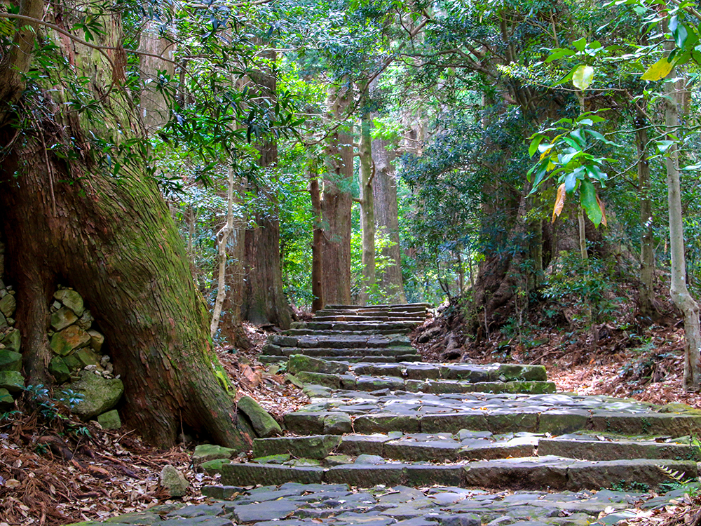 和歌山 熊の古道