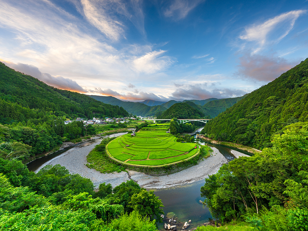 有田/和歌山