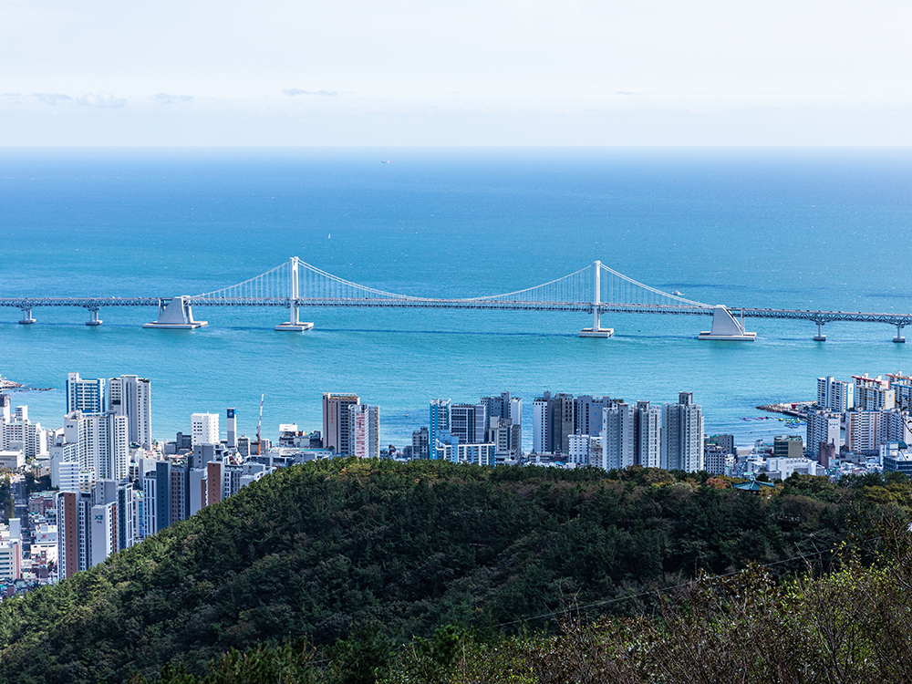 釜山