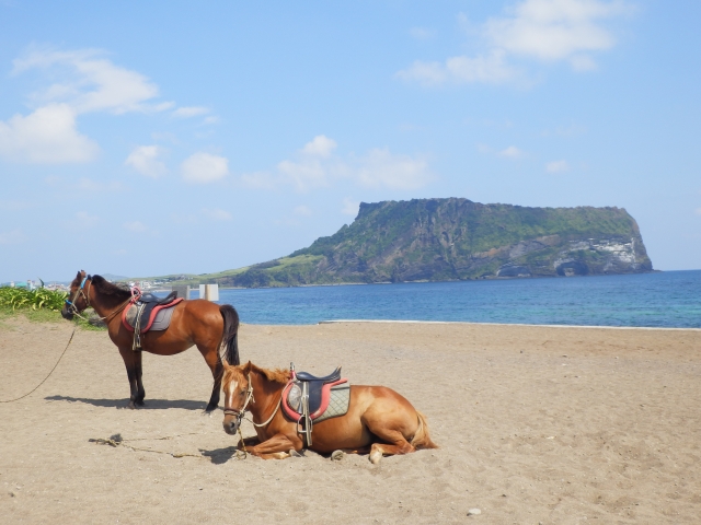 韓国・済州島