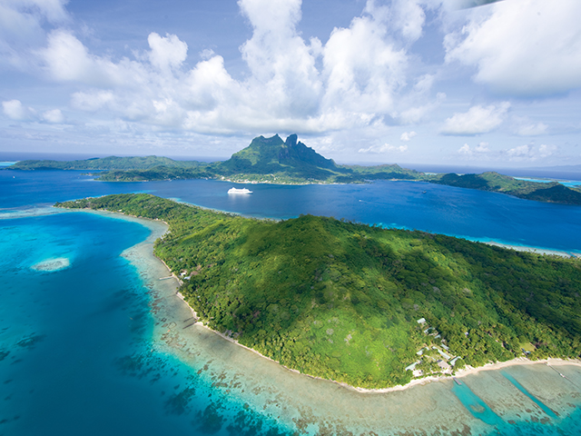 セブンシーズ ナビゲーター