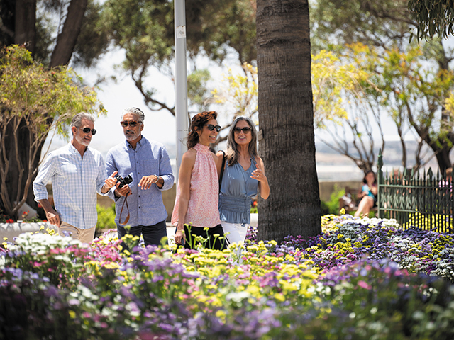 セブンシーズ ナビゲーター