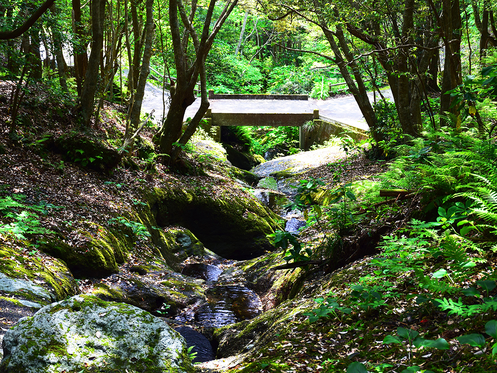 八丈島