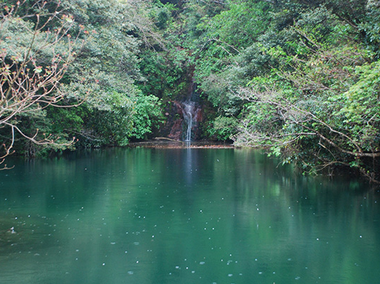 硫黄沼(八丈島)-八丈島観光協会