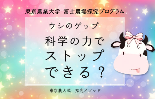東京農業大学 富士農場探究プログラム「ウシのゲップ 科学の力でストップできる?」