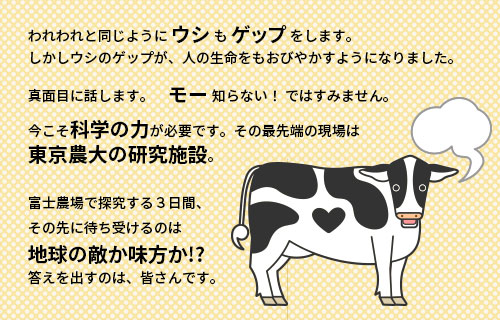 プログラムイメージ