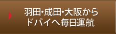 羽田・成田・大阪からドバイへ毎日運航