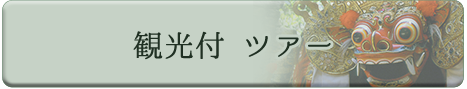 観光付ツアー