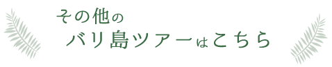 その他のバリ島ツアーはこちら