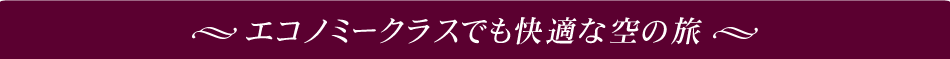 エコノミークラスでも快適な空の旅