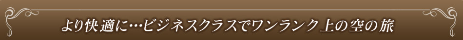 より快適に…ビジネスクラスでワンランク上の空の旅