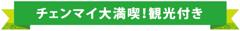 チェンマイ大満喫！観光付き