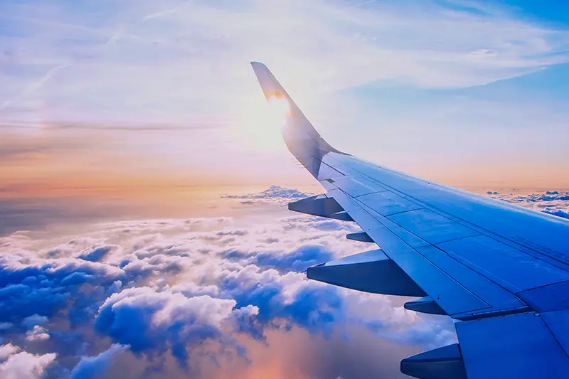 飛行機の翼