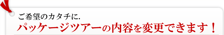 このツアー、「内容がおしい！」と思ったらご希望のカタチにパッケージツアーをアレンジします！