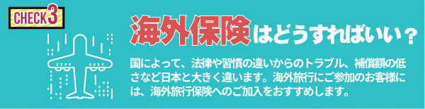 海外保険はどうすればいい？