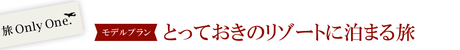 【モデルプラン】