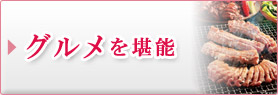 グルメを堪能