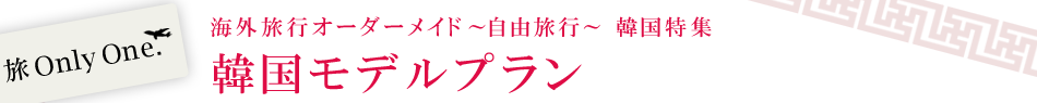 韓国モデルプラン