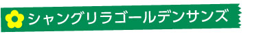 シャングリラゴールデンサンズ