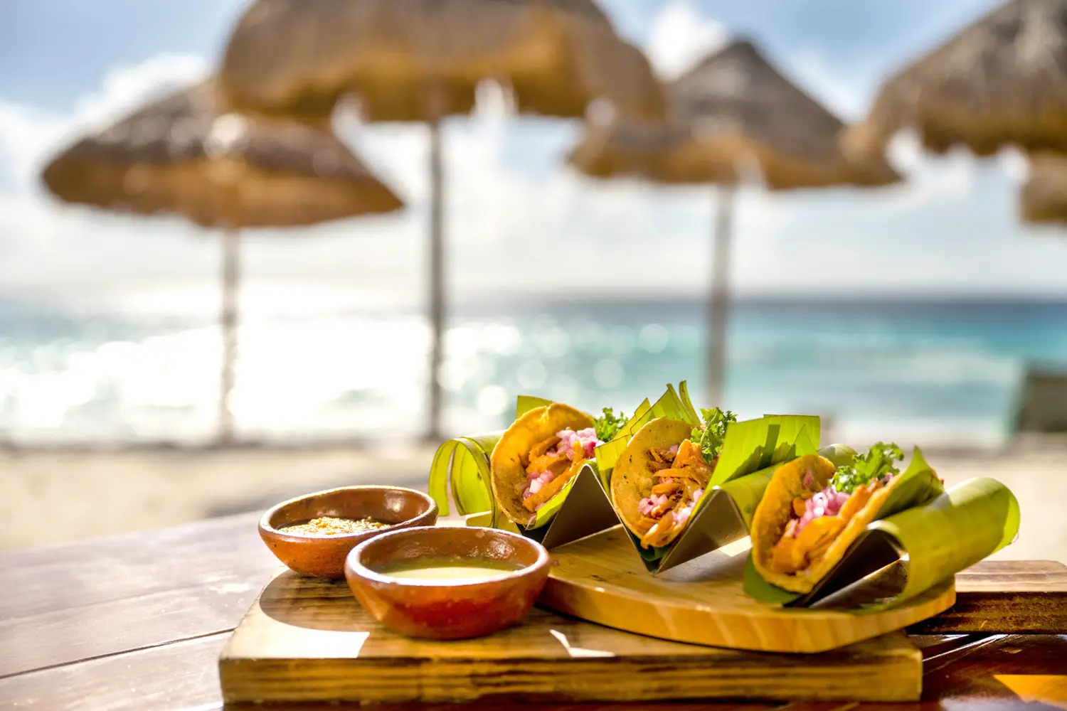 サルサ タコ バー